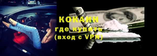 тгк Михайлов