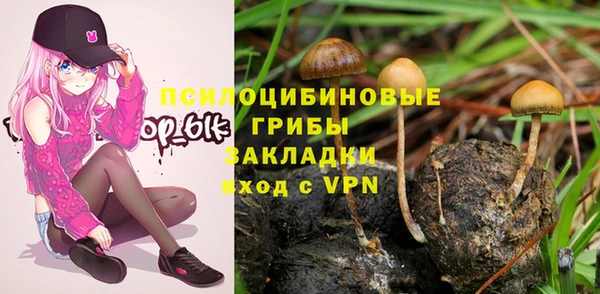 тгк Михайлов
