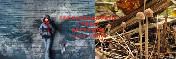 тгк Михайлов