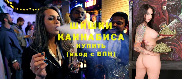 гашик Михайловск