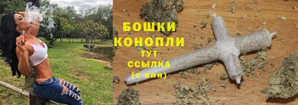 гашик Михайловск
