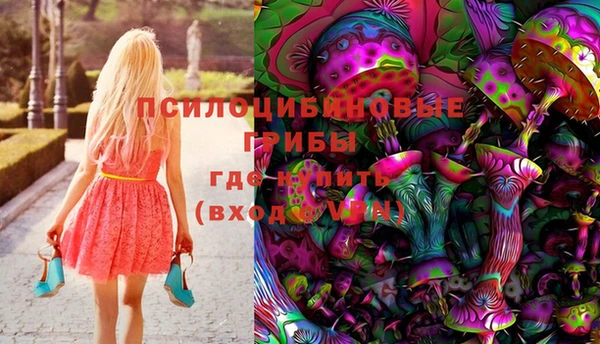 тгк Михайлов